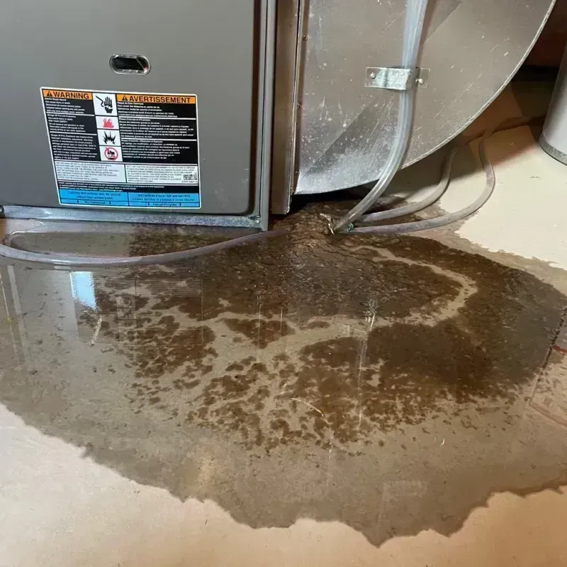 Appliance Leak Cleanup in Nashville, IL